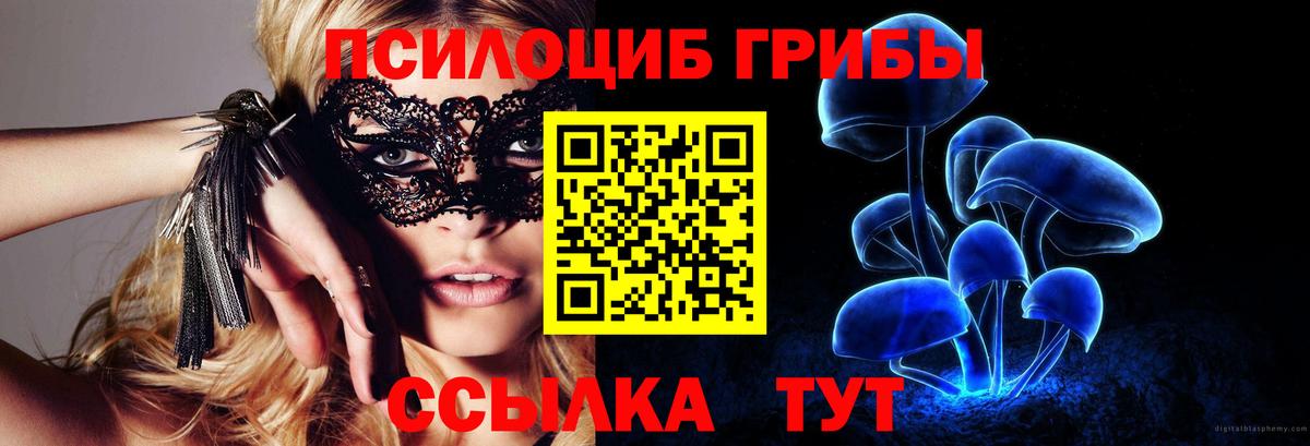 Псилоцибиновые грибы MAGIC MUSHROOMS  Вход с VPN  Тула 